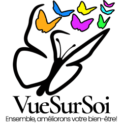 VueSurSoi